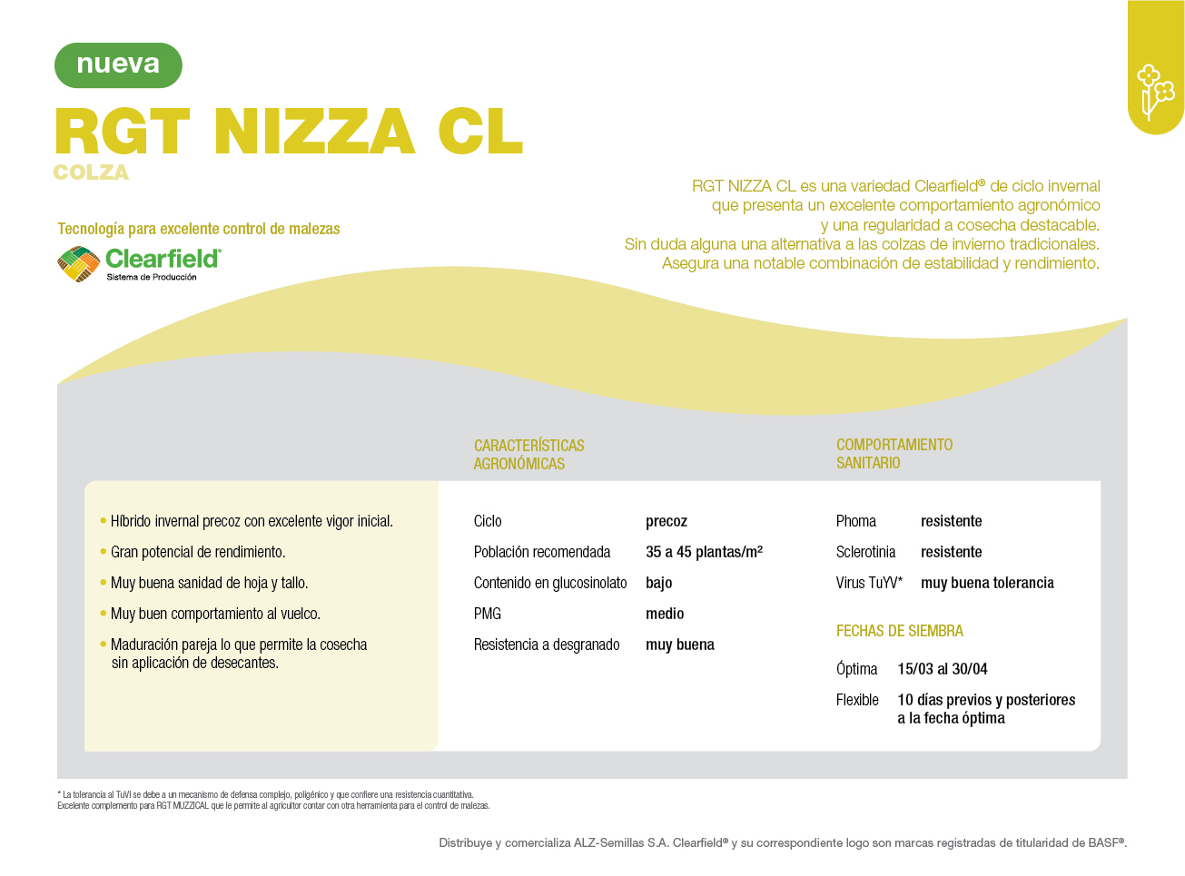 ficha técnica semillas de colza ALZ-Agro