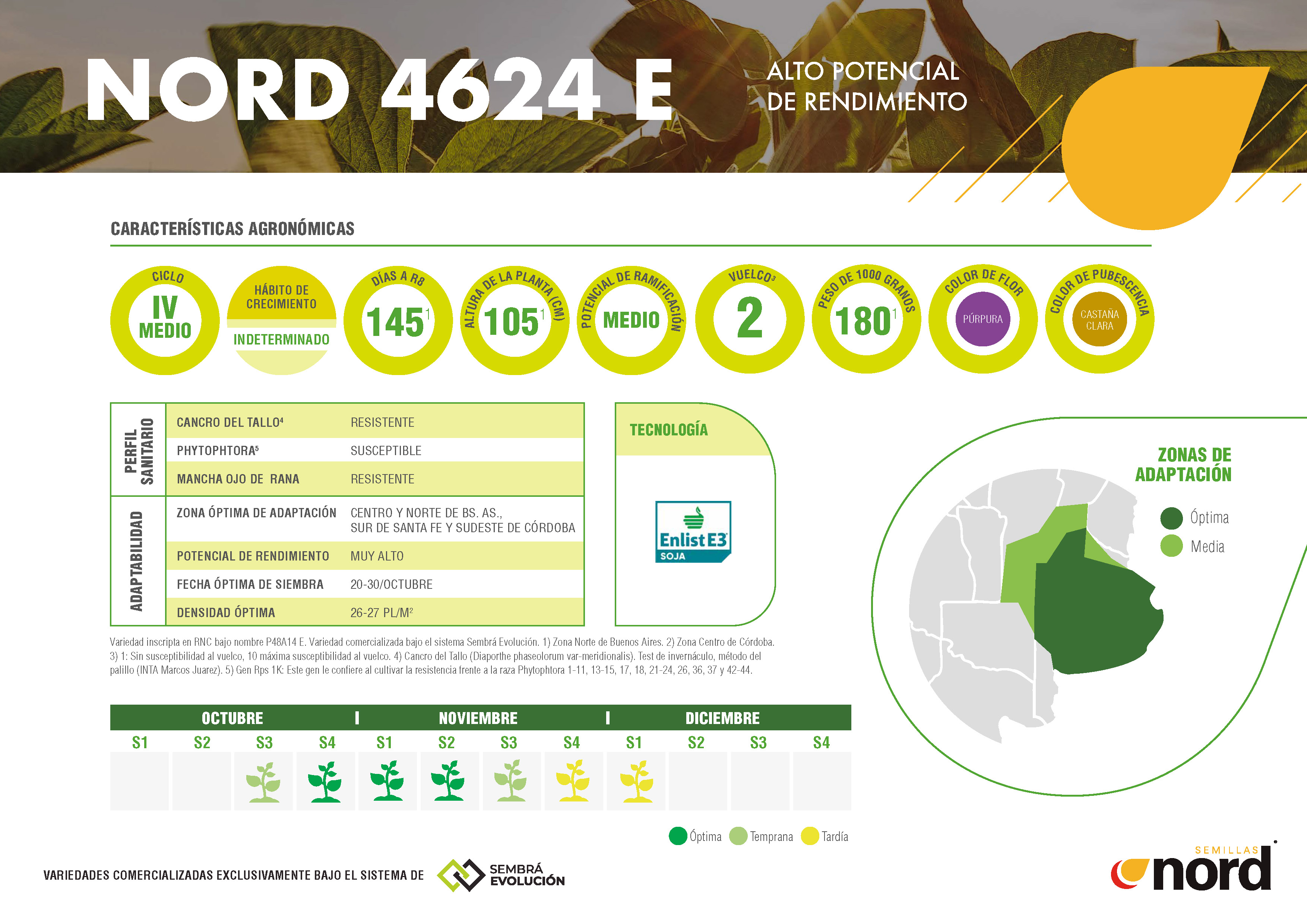ficha técnica semillas de soja NORD