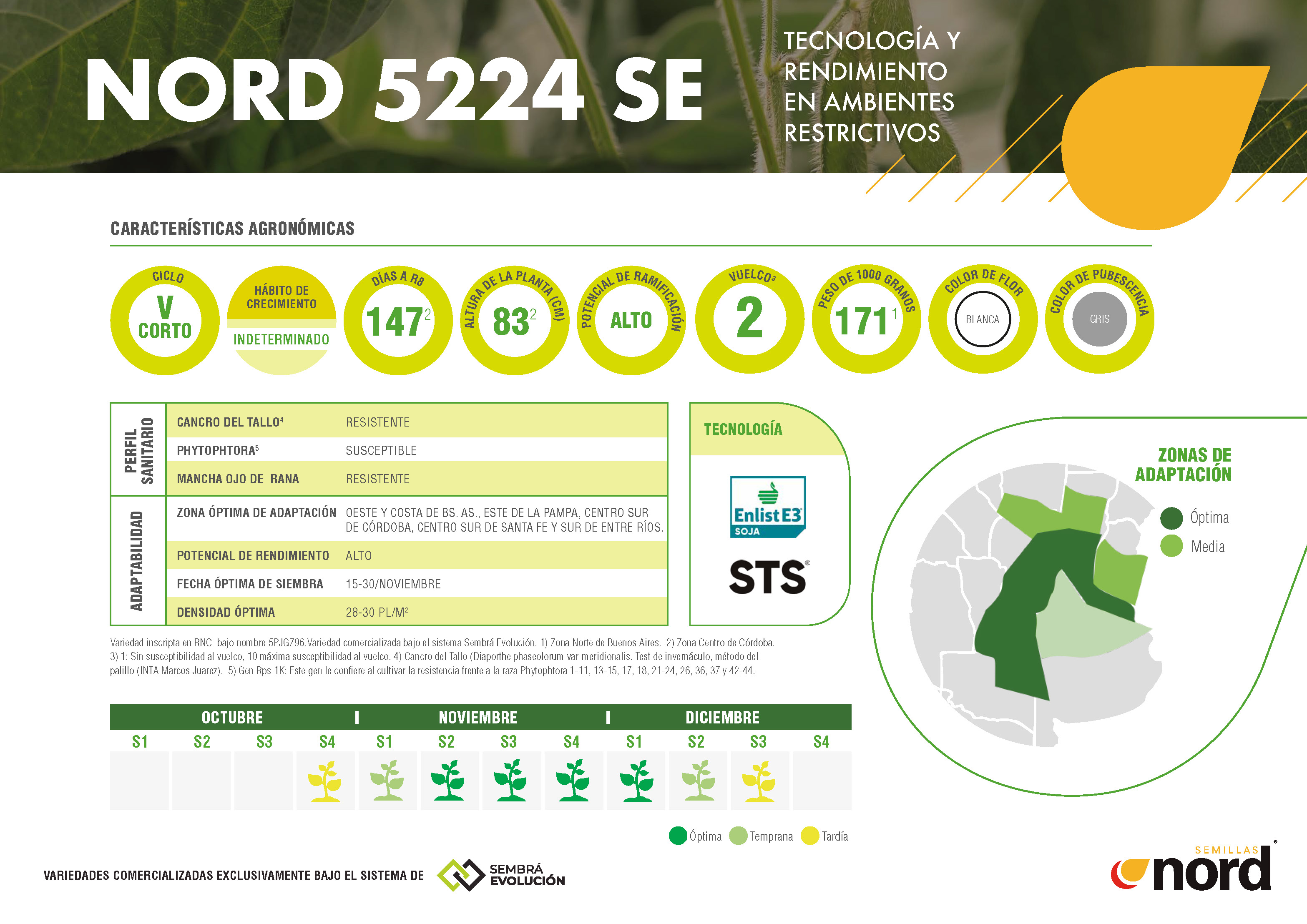 ficha técnica semillas de soja NORD