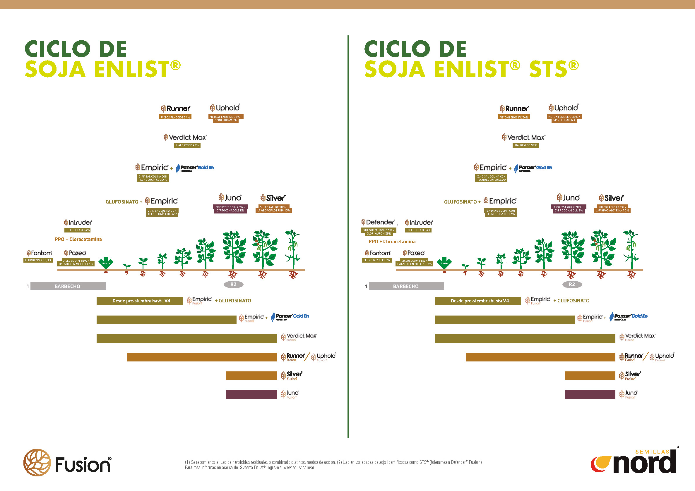 ficha técnica semillas de soja NORD