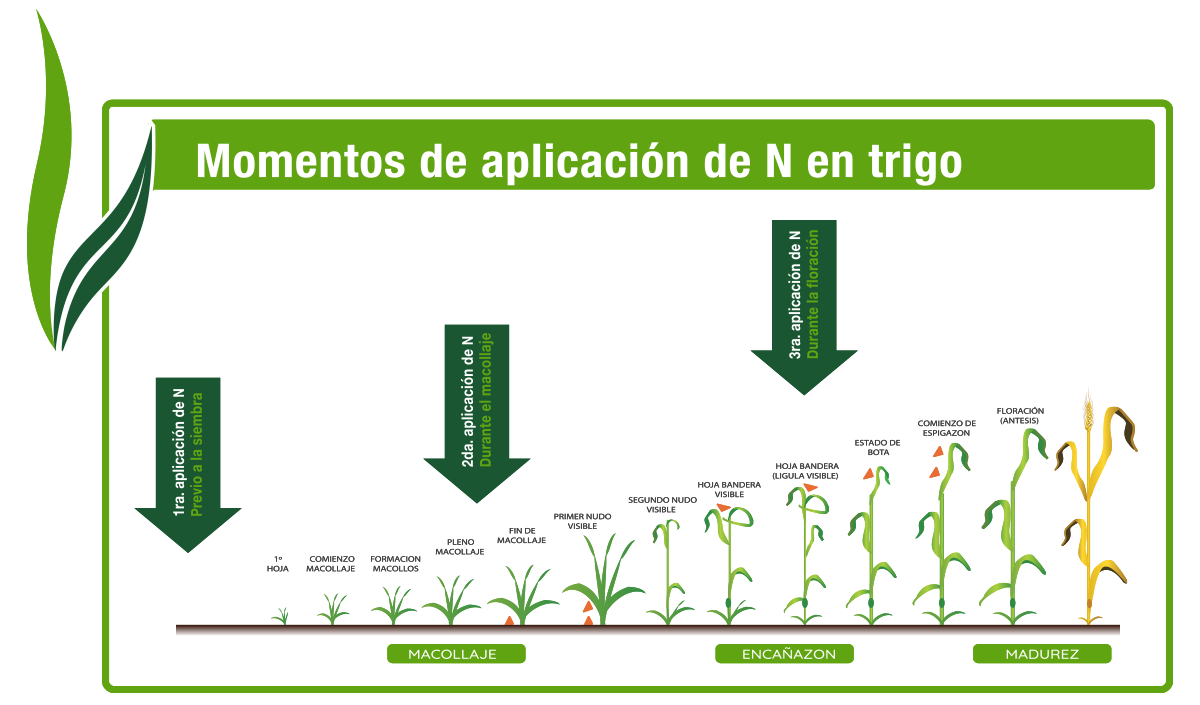 Cuadro nutrientes