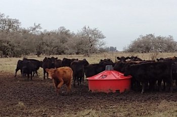 NUEVA ALIANZA PARA FORTALECER LA PRESENCIA DE ALZ-AGRO EN URUGUAY