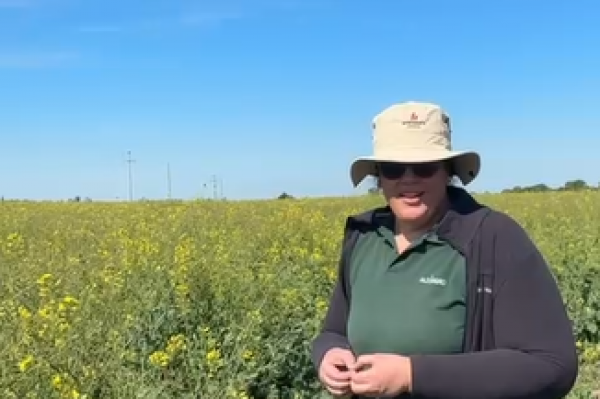 María Cruz Cárcamo: un compromiso que trasciende el campo