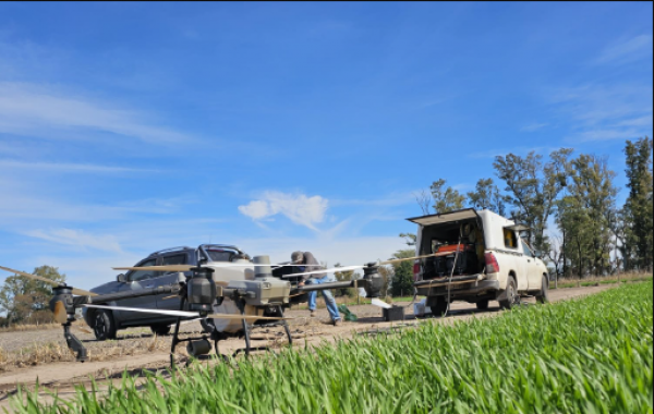 Ensayos que hablan por nosotros