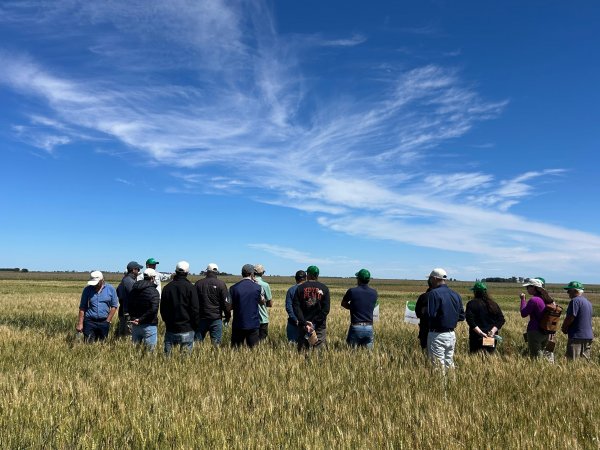 ALZ Agro en el #DíaMundialDeLaEducaciónAmbiental