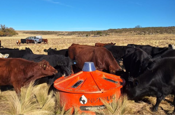 PRESENTES EN EVENTOS CLAVE DEL UNIVERSO AGROPECUARIO