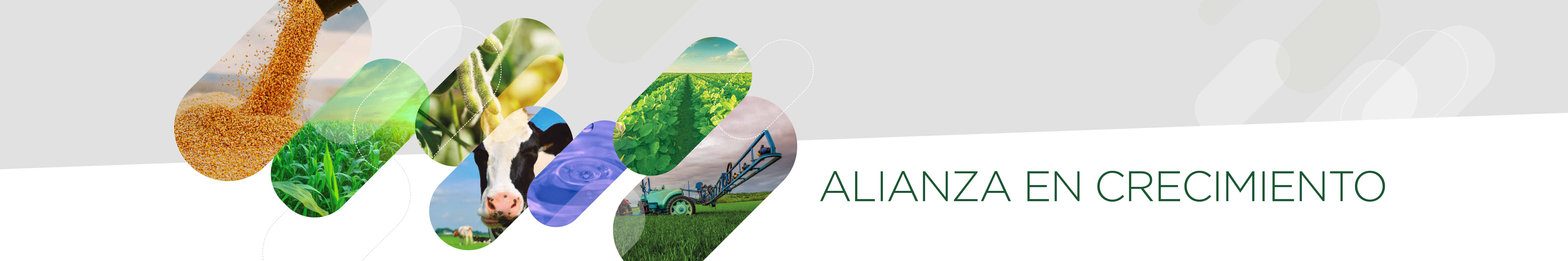 ALZ Expoagro