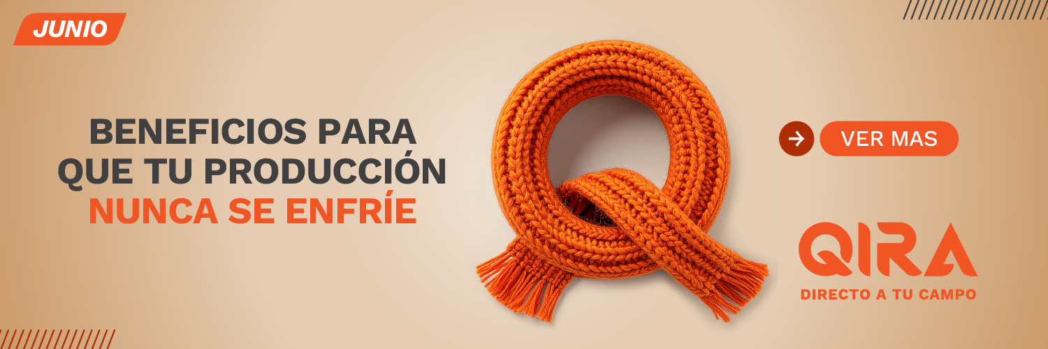 Promo Qira Junio