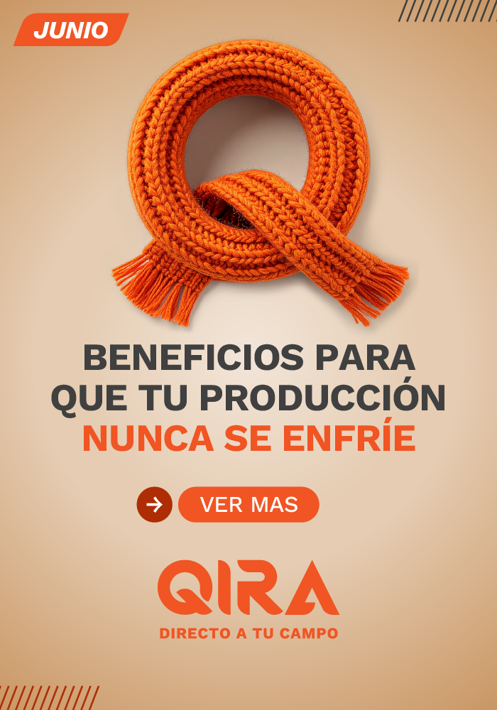 Promo Qira Junio
