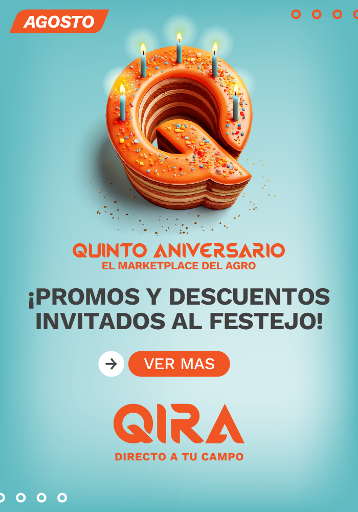 Primo QIRA Agosto